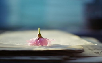 Đừng giữ mãi những hằn học